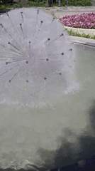Zoo visit captures fountain, wildlife exhibits, cafe stop