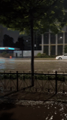 Heavy rain floods Tashkent streets, cars navigate deep water