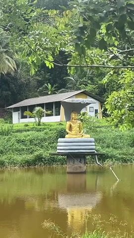 The video pans across a serene scene featuring a golden Buddha statue placed on a platform in the middle of a murky pond. Lush green grass and trees surround the pond. A small, white building with a grey roof sits on the edge of the water behind the statue. The camera then pans right, revealing palm trees and another building in the distance. Finally, the camera focuses on a decorative entrance gate with a red roof and golden statue of a figure adorning the side. The pond reflects the gate and the surrounding greenery.