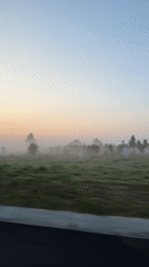 Heavy fog blankets fields near Máximo Serdán, Mexico