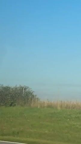 The video shows a moving view of a rural or suburban landscape under a clear blue sky. The camera pans across green fields and bushes. In the early frames, a dark bird is perched on a tall pole. Later, a speed limit sign indicating 40 is visible. In the distance, the spires of buildings, possibly a church, can be seen above a line of trees. The video appears to have been filmed from a vehicle.