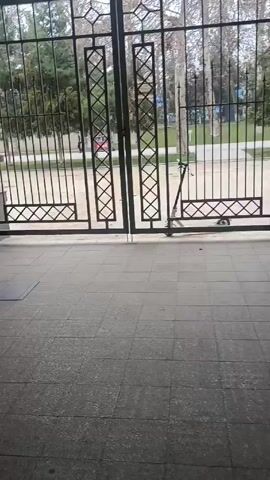 The video shows a black metal gate with a pattern of vertical bars and diamonds, behind which a scooter is parked. Beyond the gate is a street with pedestrians and cars. The flooring in front of the gate is made of gray tiles.  The video is steady and appears to have been taken from a stationary position.