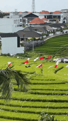 Yoga studio and ceremonial rice paddies in Mengwi, Bali