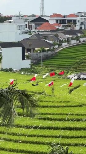 Yoga studio and ceremonial rice paddies in Mengwi, Bali