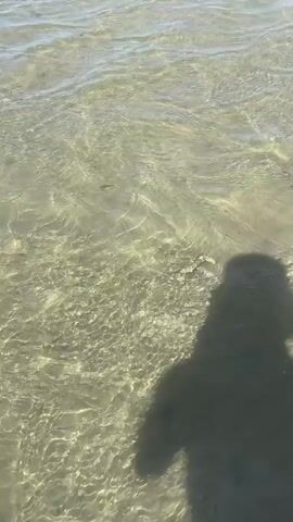 The video shows a first-person perspective of someone standing in shallow, clear water. The shadow of the person, wearing a hat, is visible on the sandy bottom. A crab scuttles across the shadow, moving from right to left and then turning slightly. The water is clear and reflects sunlight, creating ripples and patterns on the bottom. The crab is small to medium-sized with a patterned shell.