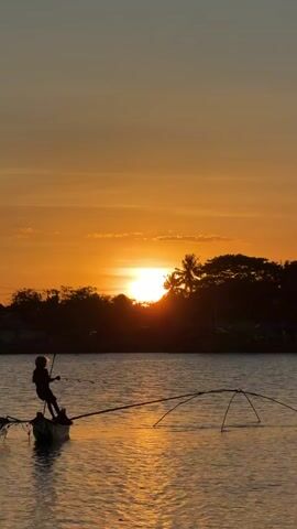The video shows a person silhouetted against an orange sunset, standing on a small boat. The person appears to be fishing, with a net-like structure extending into the water. The setting sun is partially obscured by trees and a palm tree on the horizon. The water is rippled and reflects the orange sky. A bird flies across the frame.