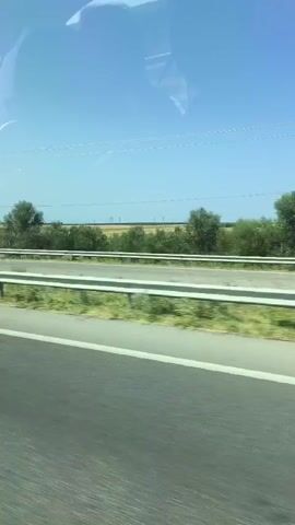 This is a low-angle shot from inside a moving vehicle, looking out the side window at a highway and the surrounding landscape. The road has multiple lanes separated by white lines and a metal guardrail. Beyond the guardrail, there's a grassy verge, followed by a flat field of what appears to be dry grass or wheat, stretching towards a line of trees and hills in the distance. The sky is clear blue with a few wispy white clouds. Electrical poles and wires are visible along the roadside. The overall impression is of a sunny, rural drive.