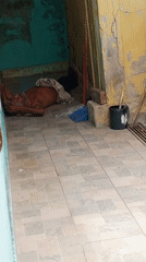Quiet domestic moments captured in Venezuelan household