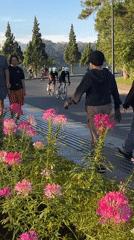 Quiet evening moments captured across Da Lat's streets and lakeside