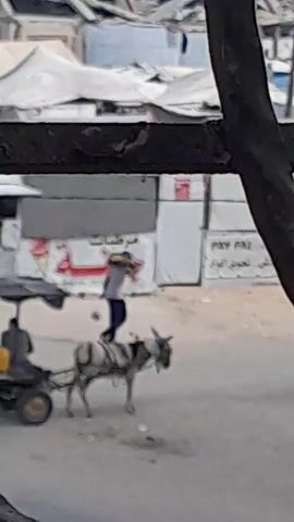 The video captures a brief moment in an outdoor environment, possibly a street or an informal settlement. In the foreground, a dark, rough-textured object, likely a tree trunk or part of a structure, partially obstructs the view. The background reveals a sandy or dirt ground with some debris. Several tents or temporary shelters with white coverings are visible.

The main action centers around two individuals. In the first few seconds, a person, appearing to be a young male, is seen in profile, standing on the back of a donkey. He is wearing a light-colored shirt and dark pants. The donkey is striped black and white. The person seems to be holding something in their hands, possibly adjusting their clothing or an object.

As the video progresses, the scene shifts. The person is no longer on the donkey. They are now walking and appear to be carrying a violin case over their shoulder. Another person, wearing a baseball cap and a light-colored shirt with dark pants, walks in the opposite direction. Their interaction is not clear, but they are in proximity to each other. The video is low resolution and somewhat blurry, making precise details difficult to discern.
