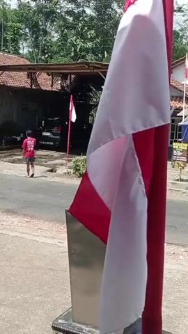 A person wearing a red shirt and black shorts stands on the side of a paved road. The person is facing away from the camera, towards a covered area that appears to be a carport or workshop. Two cars are visible in the carport, one black and one silver. In the foreground, a red and white flag is prominently displayed, partially obscuring the scene behind it. The flag is attached to a pole and appears to be fluttering in the breeze. In the background, there are buildings with tiled roofs and lush green trees. The overall setting suggests a rural or suburban environment.