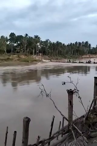 The video shows a river under a cloudy sky. The water is murky, and the opposite bank is lined with palm trees. In the foreground, there are cut tree trunks and dead branches. A long, narrow bridge made of what appears to be wooden planks stretches across the river. Several people on motorbikes are crossing the bridge. Some lights are visible on the other side of the river.