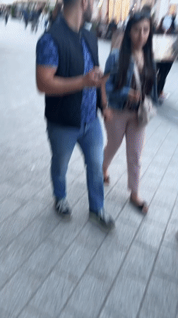 Novi Sad witnesses animal rights protest, street commerce, daily life