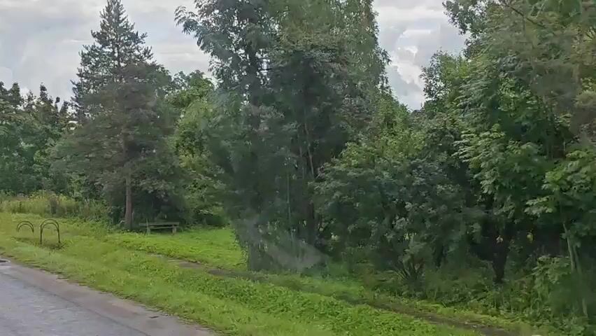 The video shows a rural landscape with trees and vegetation. There are a few houses visible, as well as a road and some fencing. The sky is overcast.