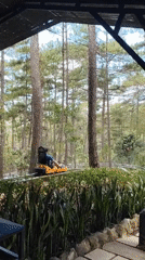 Tourist documents alpine coaster ride and flower displays in Da Lat