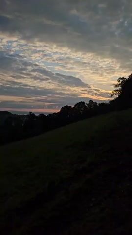 A video shows a dark, sloping grassy field in the foreground. In the middle ground, there is a dark line of trees with a hint of a town or settlement visible through them. Beyond the trees, a body of water is visible with a pinkish and orange glow, indicating either sunrise or sunset. The sky above is filled with scattered clouds in shades of gray, white, and blue, with streaks of orange and yellow from the low-lying sun peeking through. The overall lighting suggests twilight.