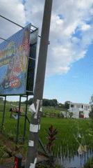 Rural rice paddies filmed near Mookiland Family Park billboard