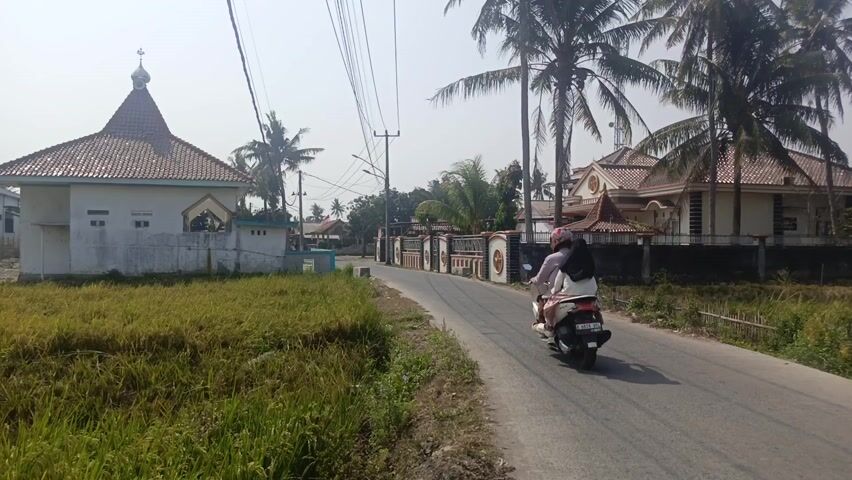 This video captures a rural Indonesian scene on a clear, sunny day. The foreground features a vibrant, golden-yellow field of rice, suggesting it's harvest season. Two individuals, likely farmers, are tending to the crops, their presence indicating agricultural activity.

The scene is bordered by a paved road where a scooter carrying two people is traveling away from the viewer. On the left side of the road, a small white building with a brown, tiled, pointed roof stands prominently. This building appears to be a mosque or a similar religious structure, indicated by its architectural style and a small dome. A white concrete fence surrounds the property.

Further down the road, several houses with similarly tiled roofs are visible, interspersed with lush palm trees that line the street. Beyond these residences, a large industrial building or factory complex can be seen. The contrast between the traditional agricultural setting, the religious building, and the modern industrial structure creates an interesting juxtaposition.

The time of day appears to be midday, given the bright sunlight and the shadows cast. The weather is warm and clear, typical of a tropical climate. The overall atmosphere is peaceful and serene, reflecting the quiet rhythm of rural life in Laksana, Indonesia. There is no visible text in the video.
