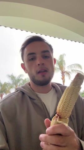 A young man stands beneath a white awning, facing the camera directly. He holds an ear of corn in both hands. He has short brown hair and a neatly trimmed beard. He wears a white t-shirt beneath a hooded sweatshirt, with the hood pulled back. He takes a bite of the corn, then pulls it away to inspect it, looking up. The background reveals palm trees under a bright, overcast sky.