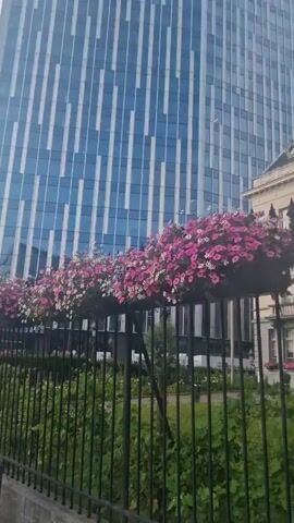 The video shows a panning shot of a tall, modern skyscraper with a blue, glass facade. In the foreground, there is a black metal fence, behind which are several hanging baskets filled with pink and white flowers. To the right of the skyscraper, there is a smaller, older building with a dome-shaped roof. The sky is cloudy. The camera pans from left to right, revealing more of the scene. There are no people visible in the video.