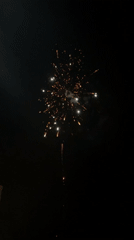 Fireworks Display Lights Up Night Sky in Radilovo, Bulgaria