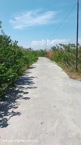 The video begins with a view of a paved road leading into the distance. Lush green vegetation flanks both sides of the road, with some areas of dried grass and brush on the right. The sky is a bright blue with scattered white clouds. A utility pole is visible in the distance, with a wire extending from it. The camera appears to be mounted on a moving vehicle, as evidenced by the slight sway and the appearance of a portion of the vehicle's body at the bottom of the frame from timestamp 00:03 onwards. Shadows of trees or foliage are cast on the left side of the road. The overall impression is of a scenic rural or semi-rural road on a clear day.