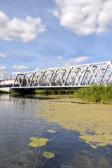 Kayaking a river past swans, fish, and a freight train bridge
