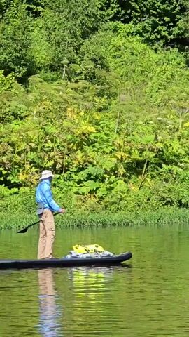 A person wearing a hat, blue long-sleeved shirt, and tan pants stands on a black paddleboard. The person holds a paddle in their right hand and is facing towards the right of the frame. The paddleboard is on a body of water with green reflections from the trees on the bank. Two yellow dry bags are secured to the paddleboard. The background consists of lush green trees and vegetation. The person appears to be paddling or preparing to paddle.