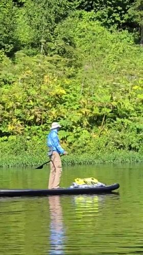 Lazy summer afternoon on a Russian river: paddboards, fishing, cats