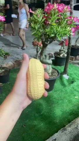 The video shows a close-up of a person's hand holding a yellow, peanut-shaped stress toy. The toy is squeezed, revealing two bulbous, lighter yellow sections within. In the background, a woman in a white dress walks away from the camera. She is on a paved area next to a patch of bright green artificial turf. Behind the turf, there are potted plants, including a tree with vibrant pink flowers. The scene appears to be outdoors, possibly in a garden or courtyard. The lighting suggests it could be evening or nighttime, as artificial lights seem to be present. The overall mood is casual and relaxed. There is no visible text in the video.