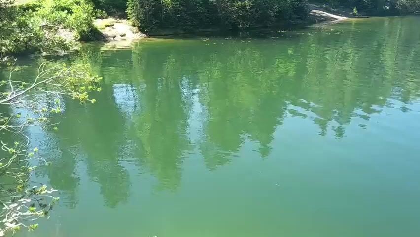 This video shows a scenic view of a clear, green lake. The water is calm, with gentle ripples on the surface, reflecting the lush green trees and blue sky above. The shoreline is lined with trees, and some large rocks are visible along the edge of the water. In the distance, a few people can be seen by the water's edge, enjoying the natural setting. The overall impression is one of a peaceful and beautiful natural environment, possibly a quarry lake or a similar body of water in a wooded area. The time appears to be daytime, likely a sunny day given the brightness and reflections.