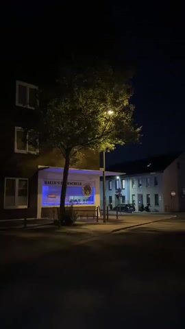 The video shows a nighttime street scene. A tree stands to the left, illuminated by a streetlamp. To the left of the tree is a building with a sign that reads "KALLE'S Fahrschule" and has blue lighting. To the right of the tree are more buildings, also illuminated by lights from within and streetlights. A car is parked in front of one of these buildings. The street is dark and empty except for the illuminated areas.