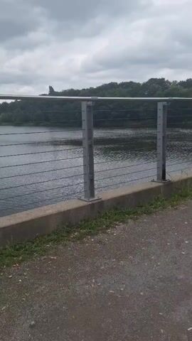 A medium shot captured from a low angle shows a calm body of water with lush green trees lining the distant shore, under a cloudy sky. In the foreground, a modern cable railing made of steel and wire runs horizontally, partially obscuring the view of the water. The railing is anchored to a concrete barrier at the bottom of the frame. The video shows no people, objects, actions, or interactions.