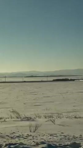 The video shows a flat, snow-covered landscape under a clear, blue sky. In the distance, there's a faint outline of hills or mountains. A fence runs horizontally across the middle ground, with power poles visible along it. The camera appears to be moving, likely from a vehicle. The sun, appearing bright, shines in the sky, causing lens flare. The scene has a wintry feel.