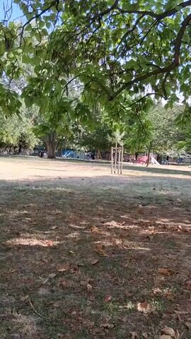 The video shows a park area with green trees and a grassy ground scattered with dry leaves. In the background, there are colorful structures that appear to be playground equipment. Sunlight filters through the leaves, casting shadows on the ground. A young sapling supported by three wooden stakes is visible in the middle ground. The scene is peaceful and appears to be a typical park setting on a sunny day.