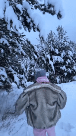 Woman shakes snow from pine tree in Russian forest