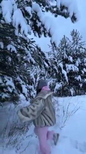 Woman shakes snow from pine tree in Russian forest