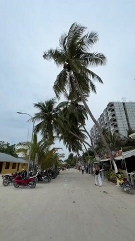 The scene is a sandy street lined with palm trees in a tropical location. The sky is overcast. Numerous motorbikes are parked on the left side of the street. People are walking along the street. A partially constructed building is visible in the background on the right.  There are small shops or stalls on the right side of the street.  The video is taken at a low angle, looking up at the palm trees.
