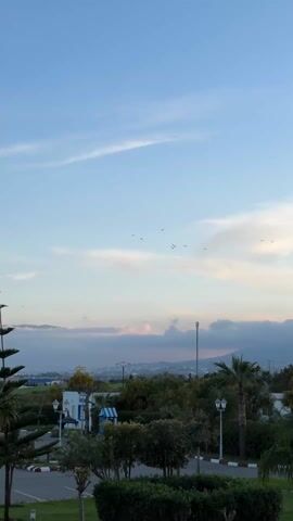 The camera pans slightly to the left to show a scenic view of a park-like area under a light blue sky with scattered clouds. A flock of birds flies in formation across the sky. The foreground is filled with various trees, including palm trees and a tall, conical evergreen. There's also a small, white building with a blue-striped awning. A lamppost stands near the building. A narrow road with marked parking spaces runs along the bottom of the frame. In the distance, a line of mountains is partially obscured by clouds. A cell tower rises above the trees. The overall scene is peaceful and captures a natural landscape with subtle architectural elements.