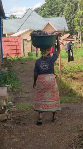 A woman is walking away from the camera carrying a large bowl of avocados on her head. She has a colorful wrap on her head, a dark blue short-sleeved t-shirt, and a long patterned skirt. She is walking on a dirt path through a yard with green plants. A clothesline with hanging laundry is visible on the right side of the path. In the background are houses with grey roofs and a red fence. The sky is partly cloudy.