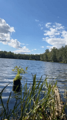 Lakeside nature scenes near a rustic cabin in rural Russia