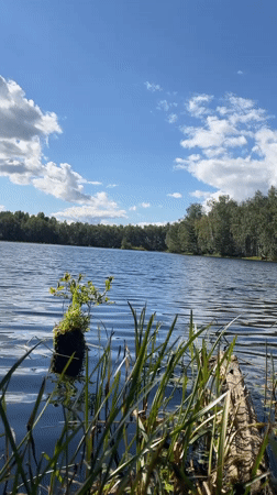 Lakeside nature scenes near a rustic cabin in rural Russia