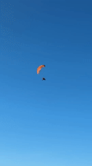 Two orange and black paragliders soar over Petten skies