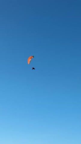 This is a video of two paragliders against a clear blue sky. The paragliders are orange and black and are in mid-air. The video is filmed from below, looking up at the paragliders. The paragliders appear to be in flight, with one slightly behind and below the other. The sky is a solid, unbroken blue, indicating daytime with no clouds. The paragliders are the sole visible objects in the frame.