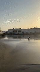 Two people walk along sunlit Tel Aviv beach