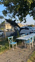 Morning stroll through Fethiye's streets and a shark statue
