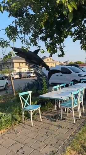 Morning stroll through Fethiye's streets and a shark statue
