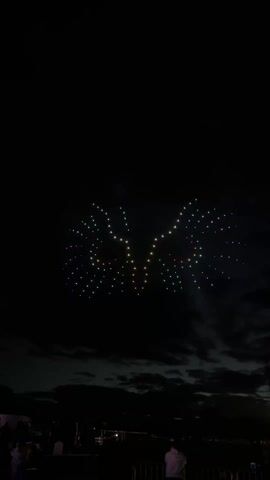 A nighttime drone show reveals a colorful owl shape in the dark sky, illuminated with purple, green, yellow, and white lights. Below, a silhouetted crowd watches from a slightly elevated area. Clouds are visible on the horizon.