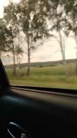 The video captures a view from inside a vehicle, looking out the window. The foreground shows the dark interior of the car door and a portion of a door handle. The main subject of the video is the passing landscape.

The scene outside consists of a rural setting. A field of green grass stretches across the middle ground, leading to a line of trees in the distance. The trees appear to be a mix of deciduous varieties, with some lighter-barked trees, possibly birch, being prominent. Beyond the trees, a hazy horizon is visible, with hints of structures that could be buildings or a small village. The sky is cloudy, suggesting an overcast or partly cloudy day. The overall impression is one of a journey through the countryside.

The activity taking place is travel, as indicated by the motion blur of the landscape and the perspective from within a moving vehicle. The time of day appears to be daytime, given the ambient light, but the cloudy conditions obscure direct sunlight. There are no people or specific objects of interest clearly visible in the scene apart from the natural elements and the interior of the car. No text is visible in the video. The general mood conveyed is tranquil and observational, characteristic of a road trip.