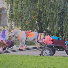 Horses, carts, and crowds fill a Ulyanovsk plaza